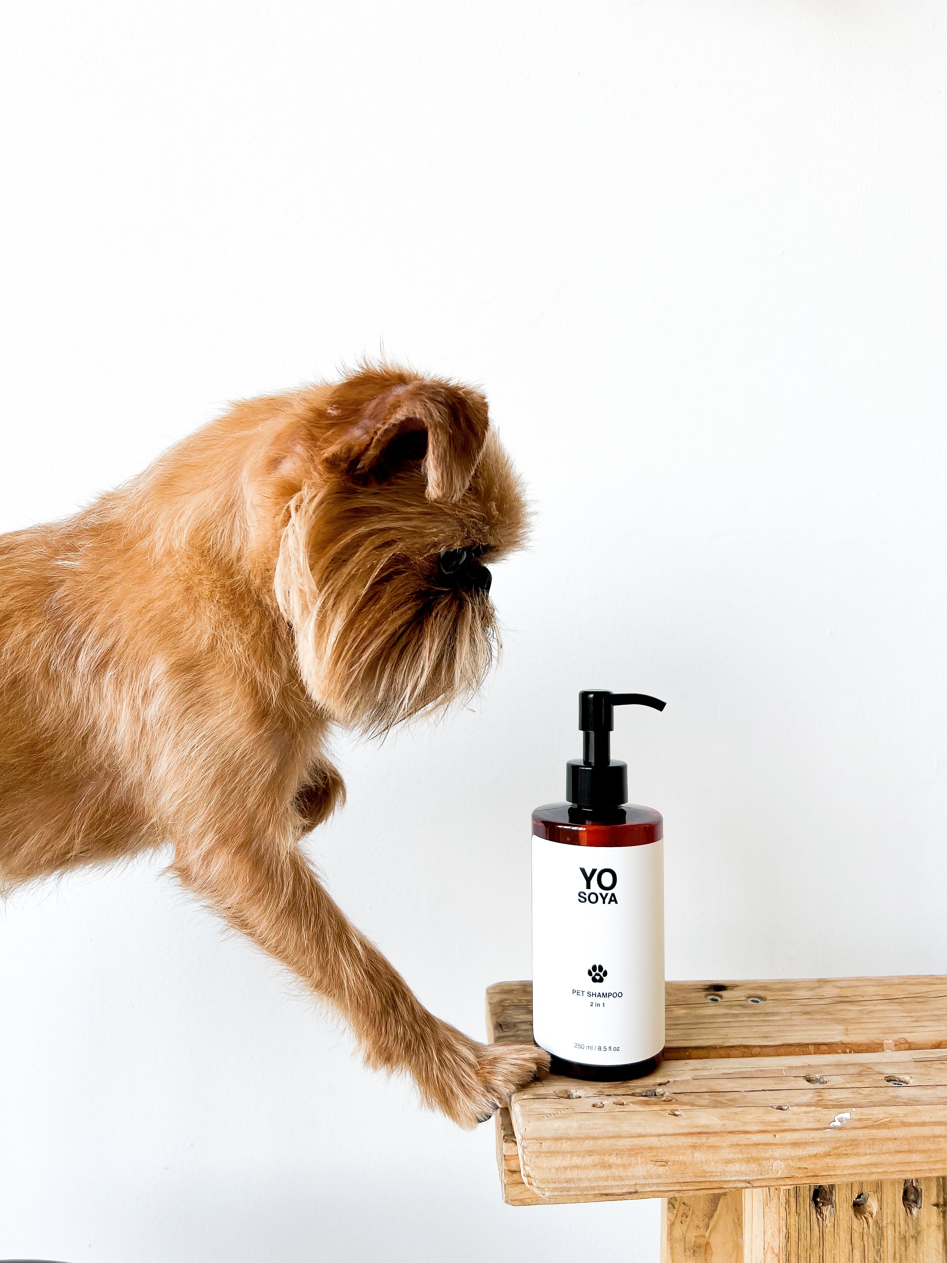 Pet Shampoo 2in1 250 ml